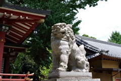 狛犬_柴又八幡神社