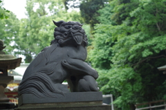 狛犬_氷川神社(中野)