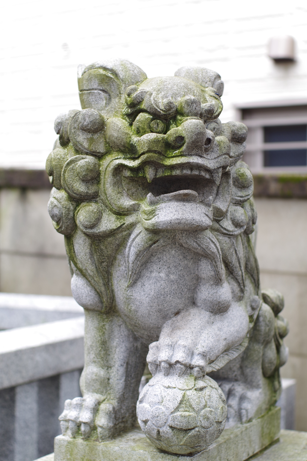 狛犬_荻窪白山神社