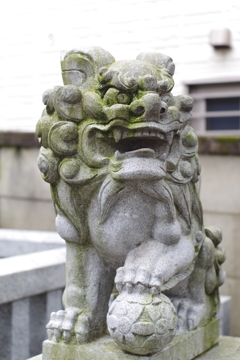 狛犬_荻窪白山神社