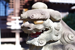 狛犬_白山神社(文京区)