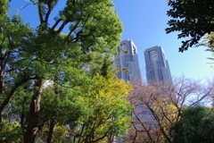 東京都庁舎