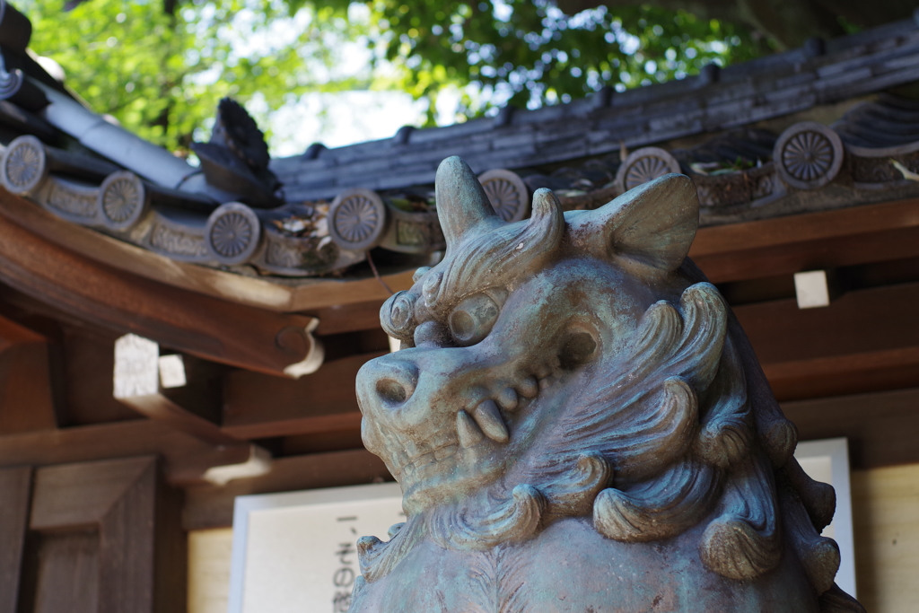 狛犬_靖国神社