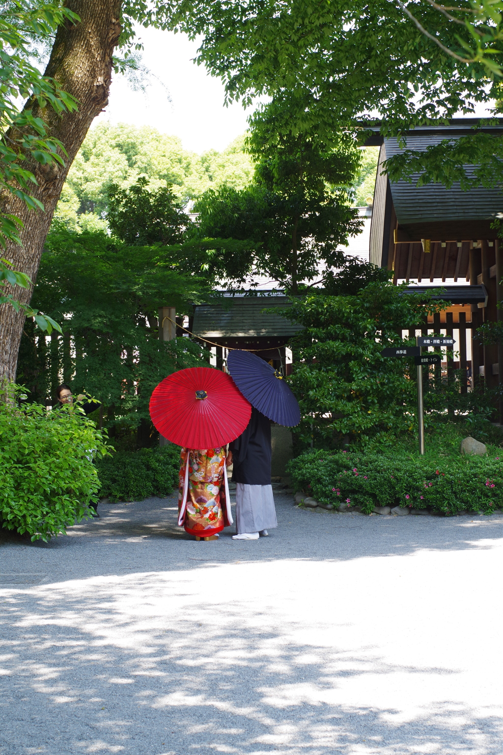 記念写真_阿佐ヶ谷神明宮