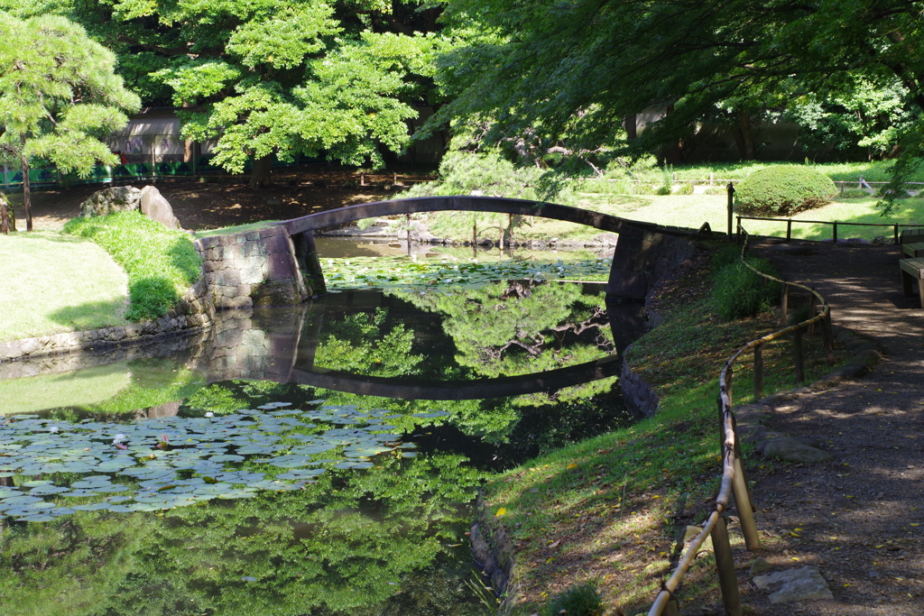 池_小石川後楽園