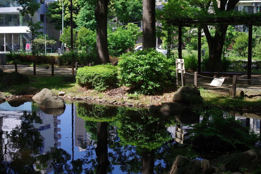 弁天池_芝公園