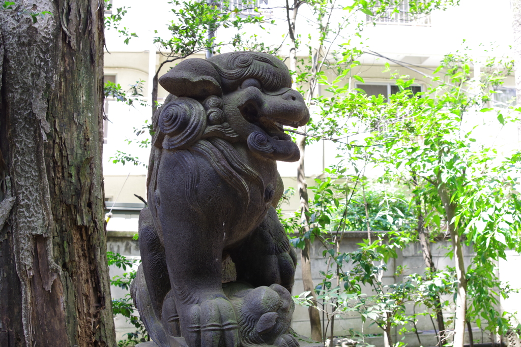 狛犬_荻窪八幡神社