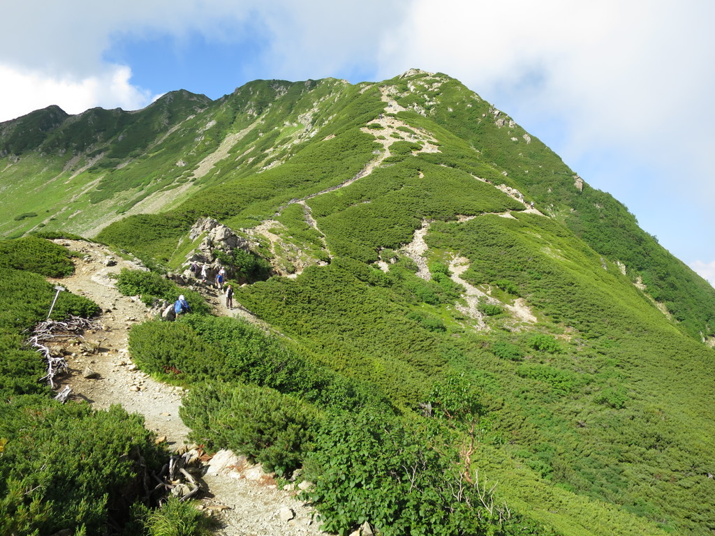 仙丈ケ岳