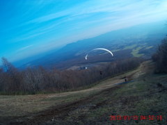 04520412