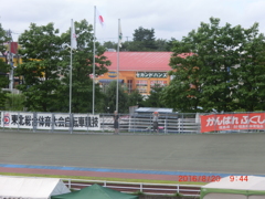 バックストレッチのポールと大会名