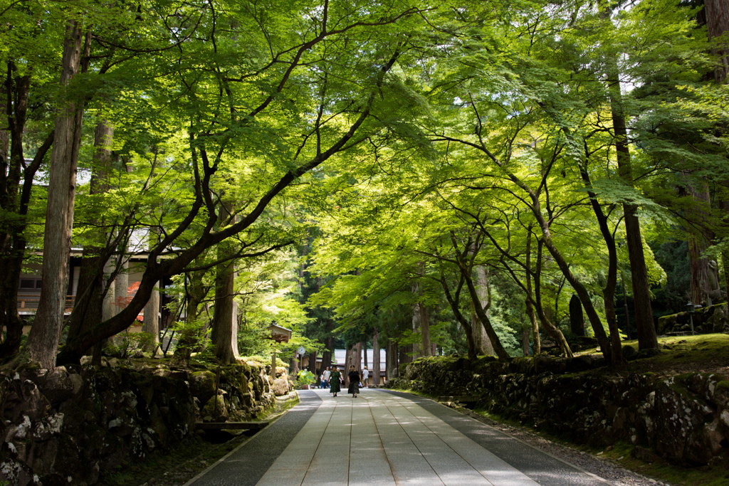 永平寺 その4