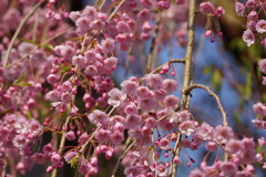 DSC01608