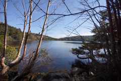 DSC00740