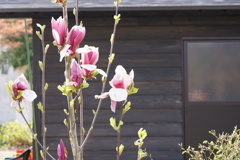 DSC01815