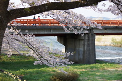 DSC01701