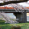 DSC01701