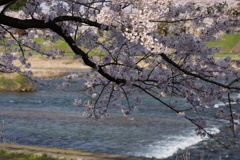 DSC01715