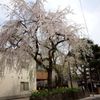 DSC01983