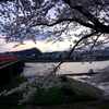 DSC01505