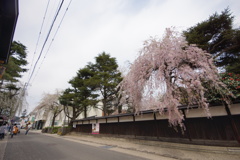 DSC01987