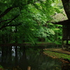IMGP2408