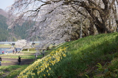 DSC01875