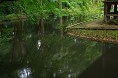 IMGP2397