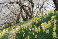 DSC01900