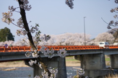 DSC01680