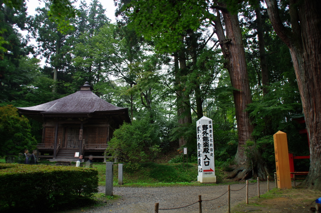 IMGP2398