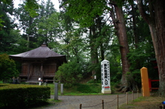 IMGP2398