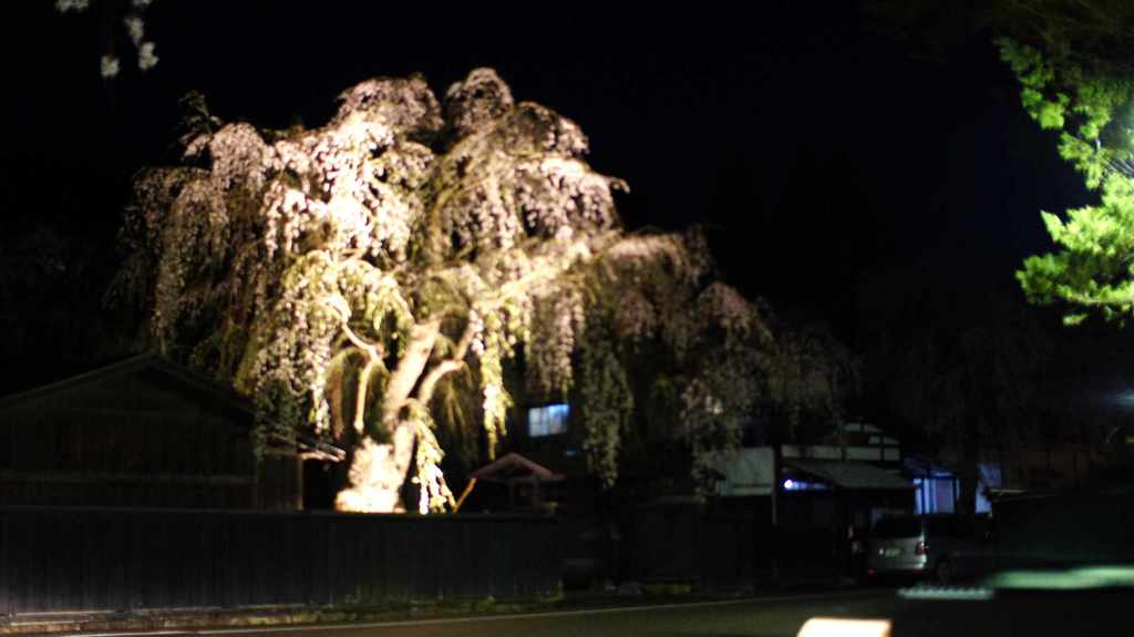 DSC00949