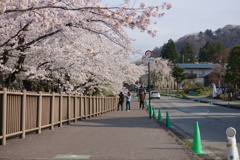 DSC01645