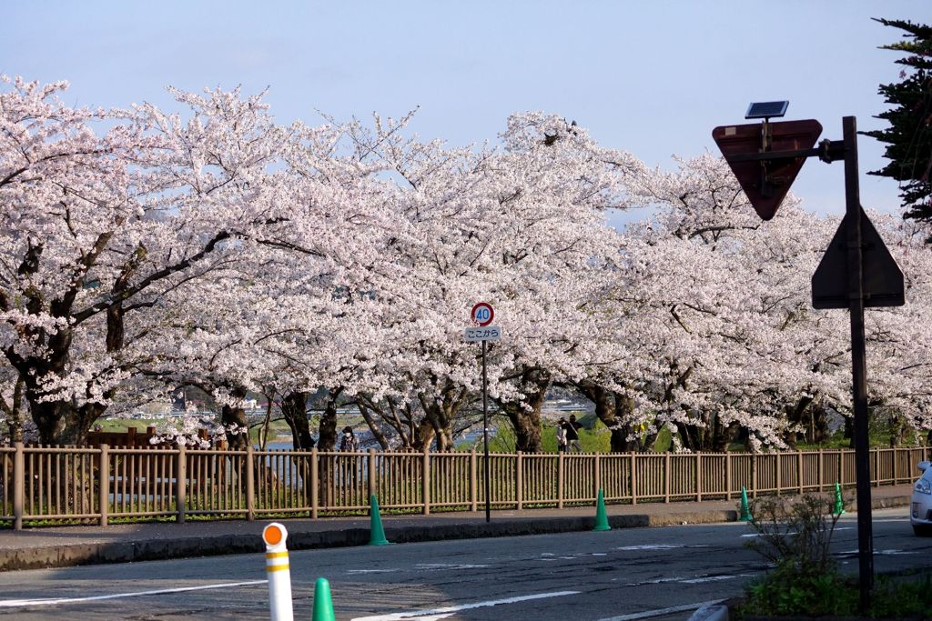 DSC01627