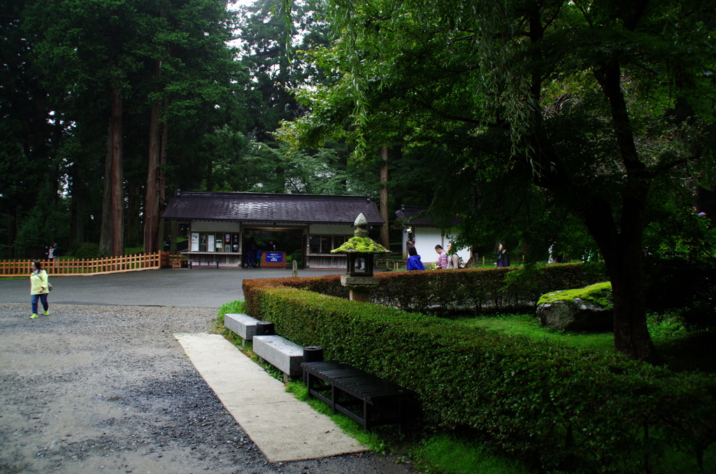 IMGP2406