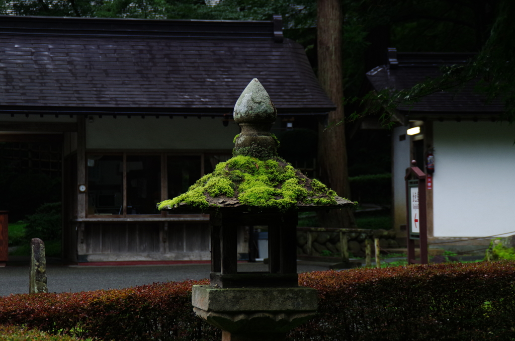 IMGP2404