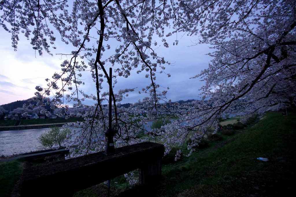 DSC01536