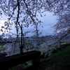 DSC01536