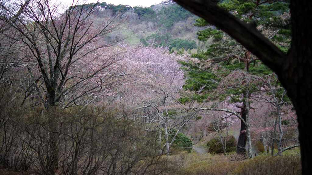 DSC00643
