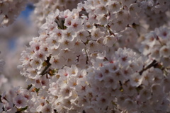 DSC01638