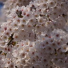 DSC01638