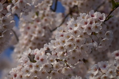 DSC01640