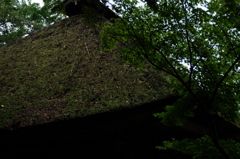 IMGP2399