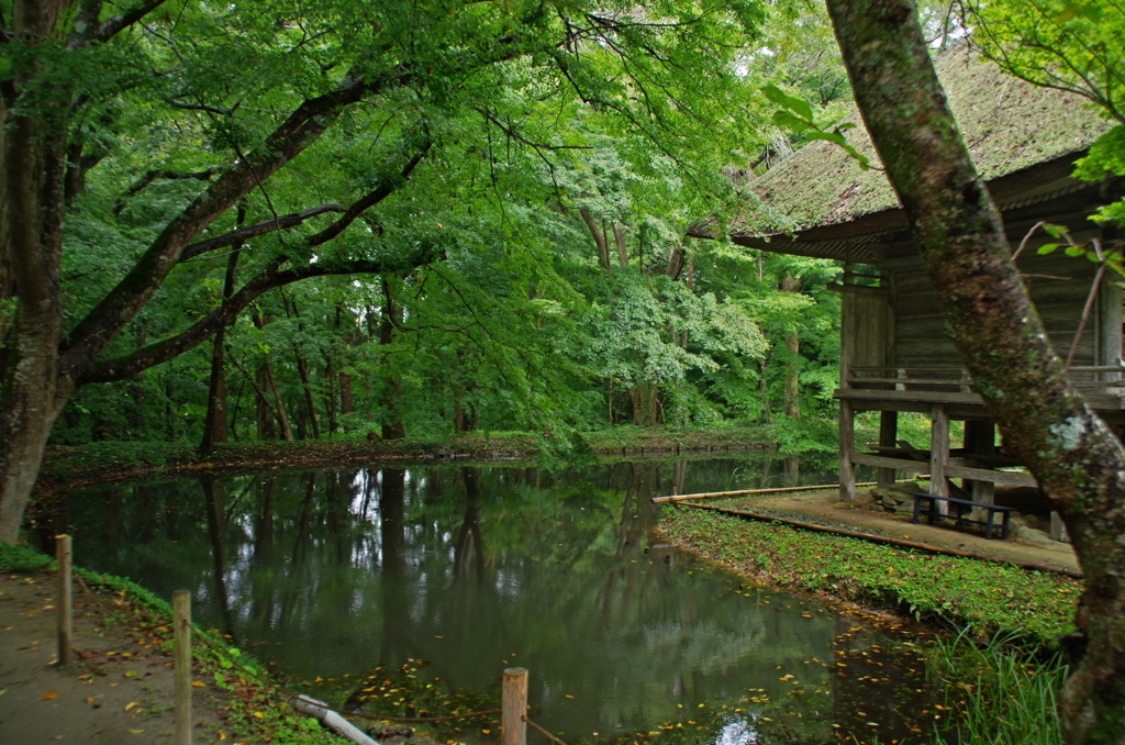 IMGP2409