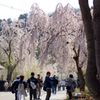 DSC01954
