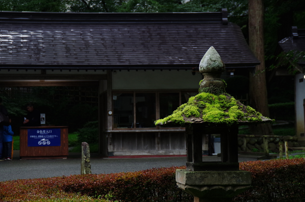 IMGP2405