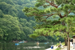 カモ川