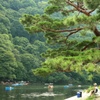 カモ川