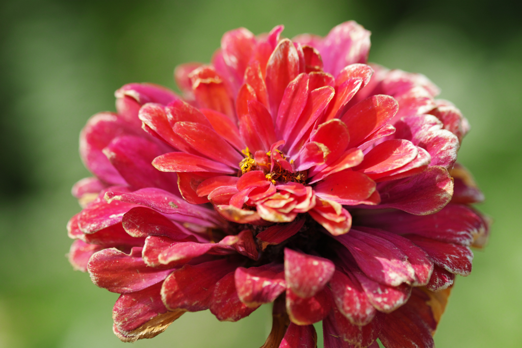 別れた友を思う