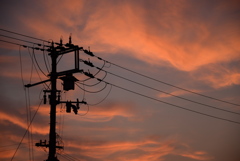 電柱